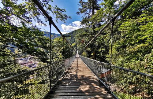 Schwarzwaldhorst 1 für 8 Gäste in Todtnau, Liftverbund Feldberg - Foto 24