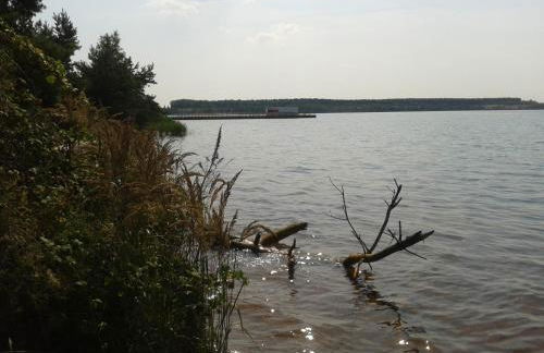 Appartementhaus "Schöni" - Foto 41