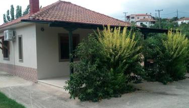 The House in the Mulberries Trees - Foto 3, Garden