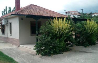 The House in the Mulberries Trees - Photo 3