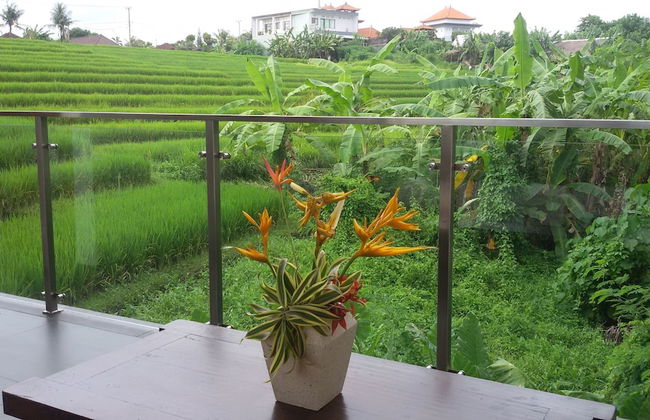 Royal Nyanyi Villa - Photo 2