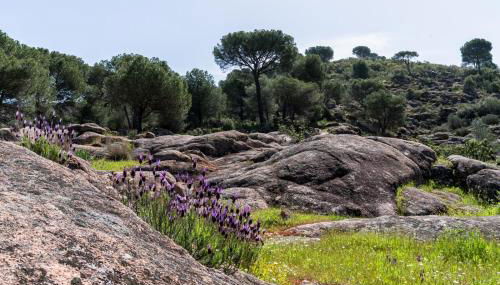 Casa los Jardines del Lago - Foto 2