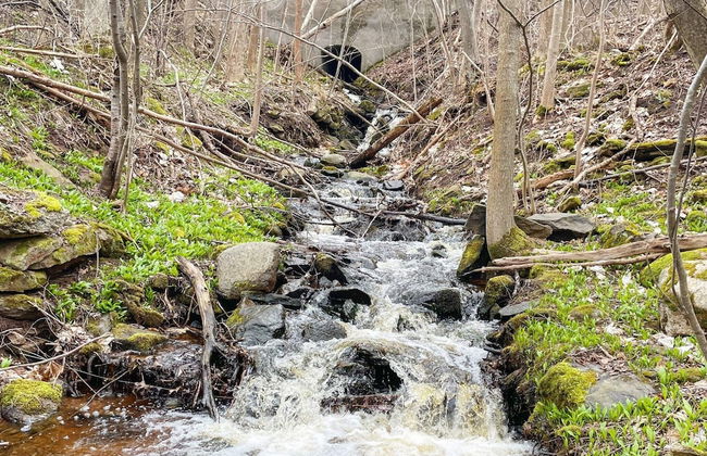 4 Person Holiday Home in Granna - Photo 19