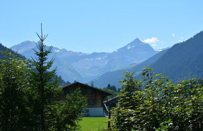 La Sarine 124 - Foto 8