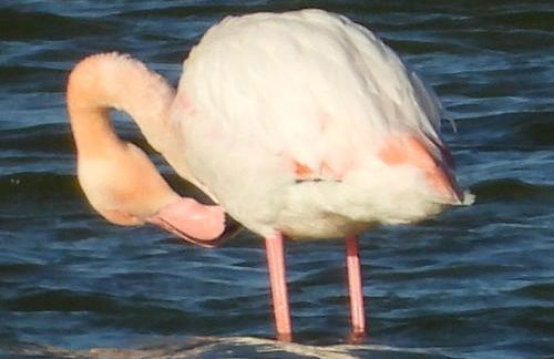 I tre feudi - Casa Vacanza - Foto 41