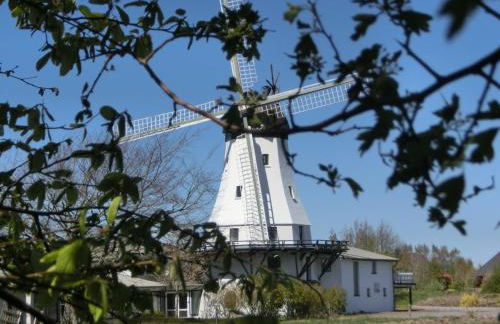 Kastanienhof - Foto 7