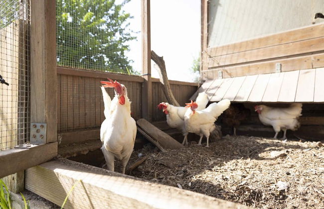 Casale Della Pergola With Cottage Sugarcane Pool - Foto 62