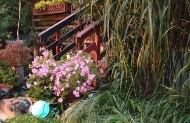 Dom wakacyjny - Foto 14