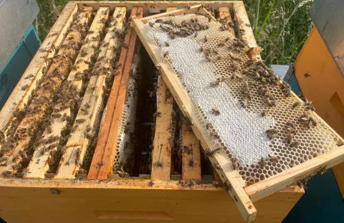 Agriturismo Brusignone - Foto 52