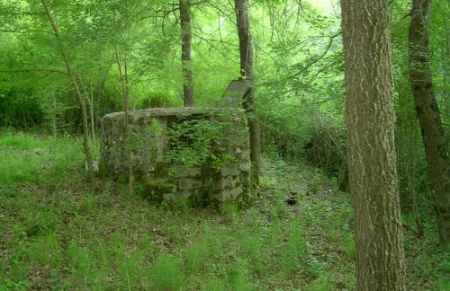 Agriturismo le Cammarose - Foto 20