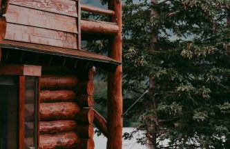 Historic Chulitna River Lodge - Foto 10