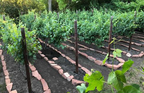 6-Bedroom Tudor in the Downtown Historic District - Foto 24