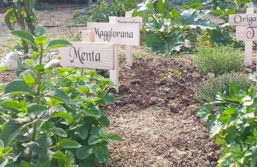 In collina sul mare... - Foto 69