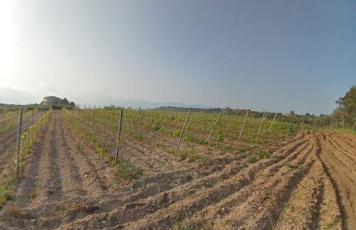 CASA RURALE IMPASTATO - Foto 7