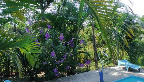 SÍTIO CONQUISTA FELIZ - Foto 3