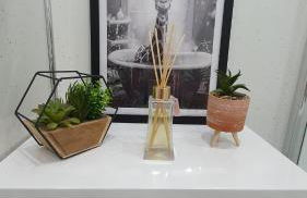 Beautiful Ground Floor Flat near Haymarket - Foto 14