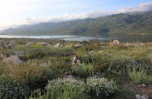 Apartments Bonaca Rovanjska - Foto 31