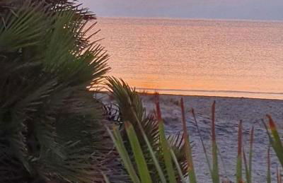 Exclusiva casa con encanto en Agua Amarga - Foto 76