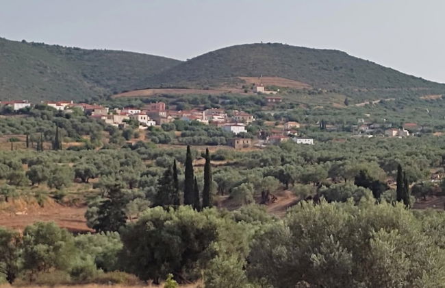 Cottage in Vellies-nice Place for Families - Foto 10