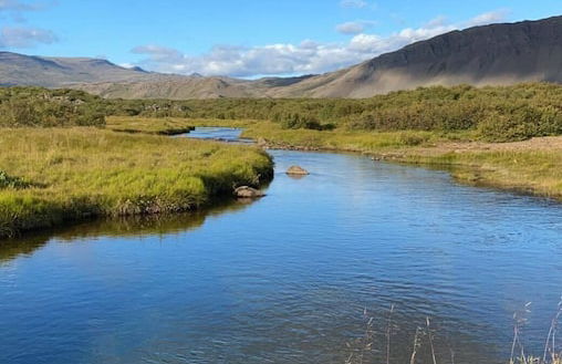 Álftártunga farm guesthouse - Foto 68