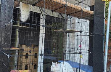 La petite ferme de Fine - Photo 4