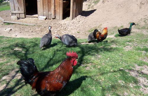 Schnurrenhof - Foto 27