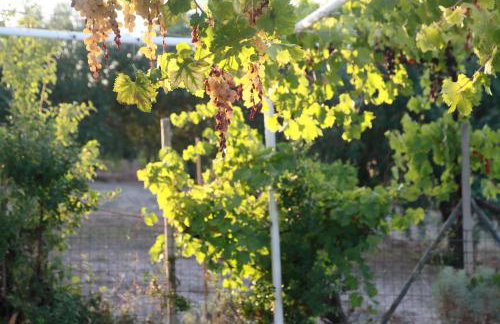 La Villa del Relax - Foto 31