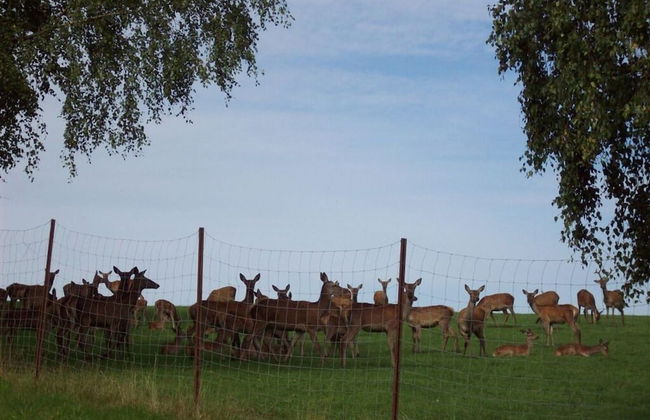 Holiday Home Sterl in Eppenschlag - Foto 10