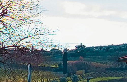 casa serena a Carmignano (Seano) vicino a Firenze - Foto 16