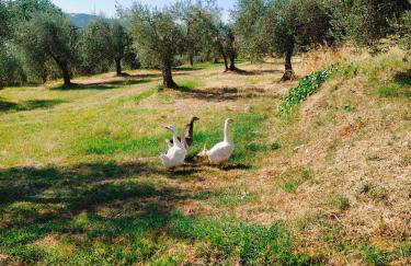 Cottage La Dolce Agogia Panicale - Foto 16