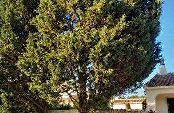 Casa Joaquina - Foto 41