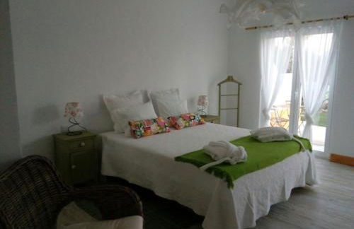 Monte do Mato dos Homens - Foto 27