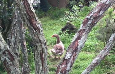 Intact Farm Resort - Photo 42