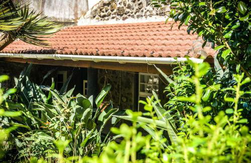 Quinta dos Frutos - Foto 65