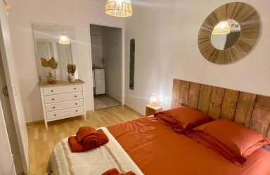 Appartement Cosy 1 chambre pour 2 pers - rénové - terrasse - parking - Foto 1