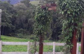 Encanto da Pedra - Photo 16