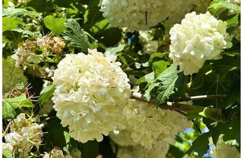 Memories Apartments Μονοκατοικία στο Καρπενήσι - Foto 40