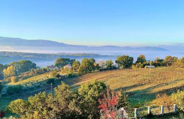 Donna Vittori - Borgo Agricolo - Foto 62