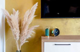 MY DALMATIA - Authentic Villa Storia with private heated pool - Photo 10