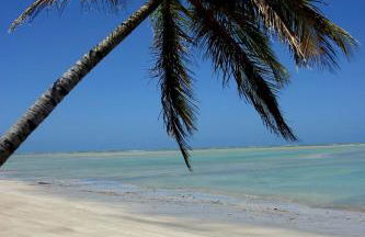 Proa Japaratinga - Foto 19