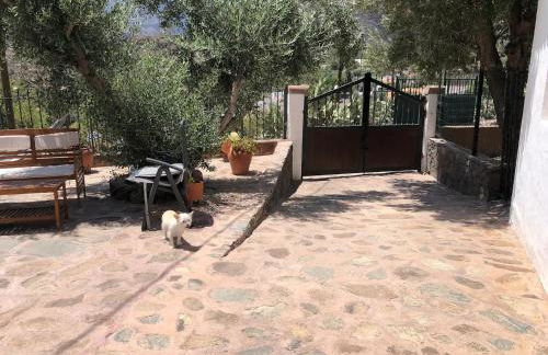 La casa vieja de la Montaña - Foto 32