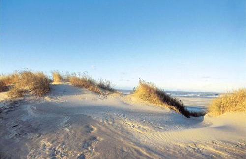 Dünenmeer - Photo 11