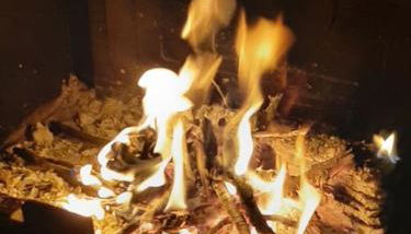 La casa de la encina - Foto 5