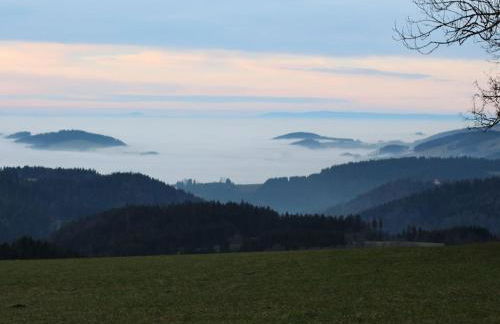 on the Willmann farm - Foto 10