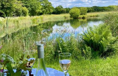 The Lake House , luxury rural retreat - Foto 21