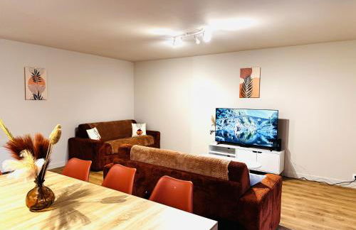 Le Terracotta cocon moderne à 2 pas de la Gare ligne directe GENÈVE-LYON-PARIS - Foto 12