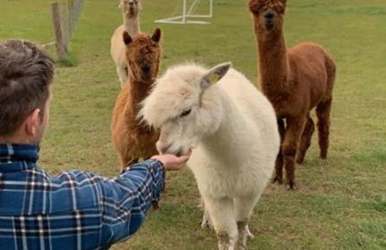 Y Boidy Bach - Photo 51