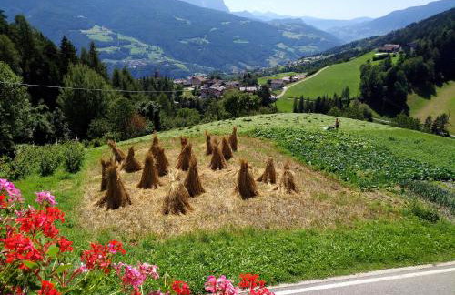 Obermoserhof - Foto 14