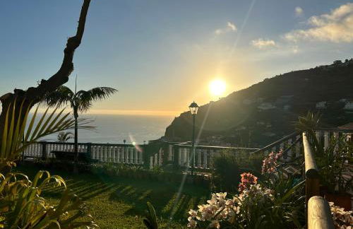 Tropical Garden - Photo 30