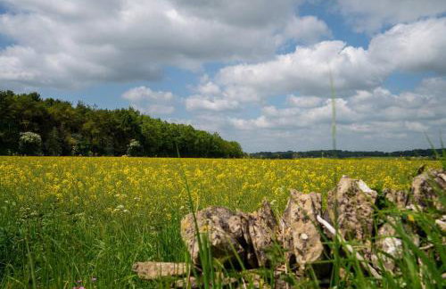 Quarry Cottage Courtyard Garden - Pass the Keys - Foto 32